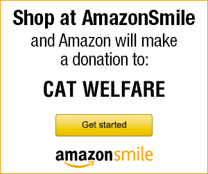 Amazon Smile